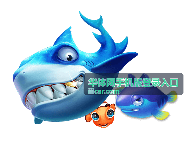 华体网手机版登录入口在手机浏览器中的访问页面示意